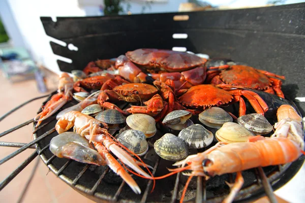 Crevettes crabes sur le gril de charbon de bois — Photo