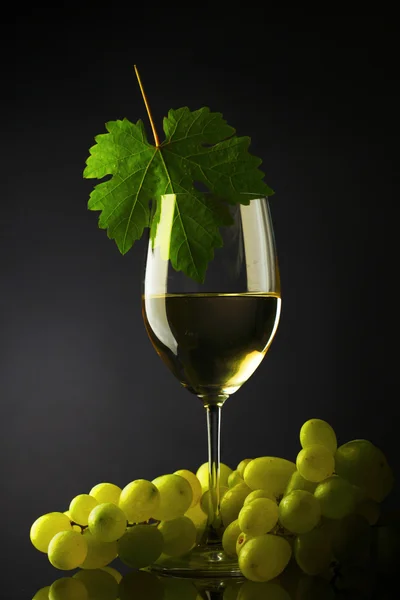 白ワインとチーズの黒 — ストック写真