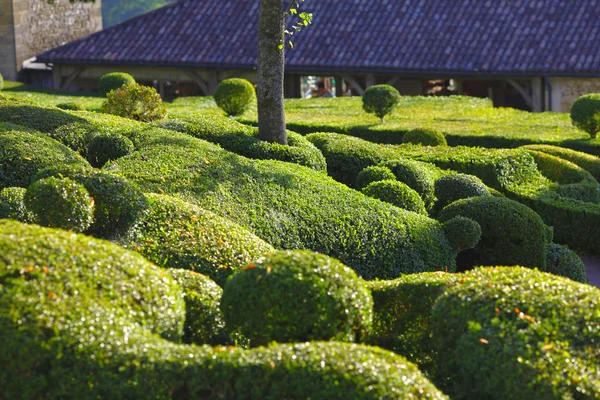 Marqueyssac — Stok fotoğraf