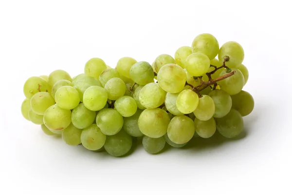 Grape — Stock Photo, Image