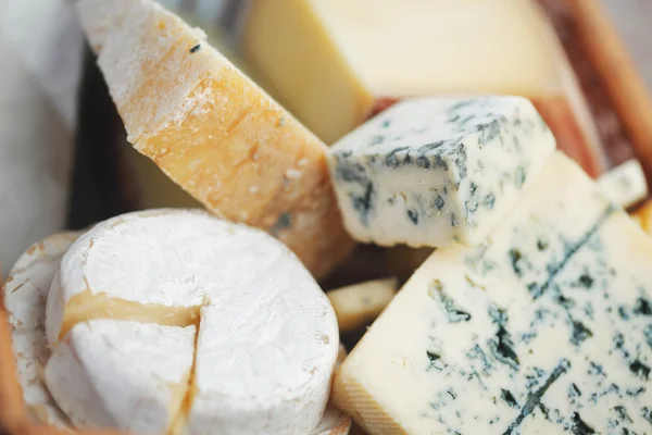 Various types of cheese composition — Stock Photo, Image