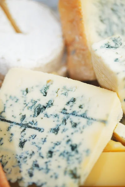 Різні типи складу сиру — стокове фото