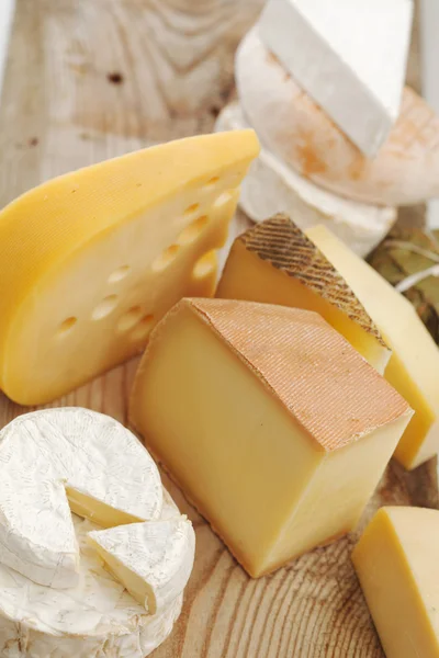 Varios tipos de composición de queso — Foto de Stock