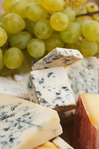 Différents types de composition du fromage — Photo