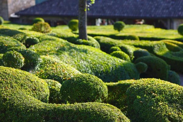 Marqueyssac — Stok fotoğraf