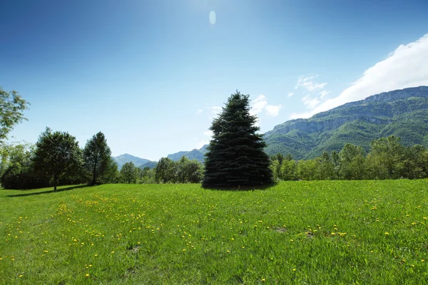 Spring alps Stock Photo