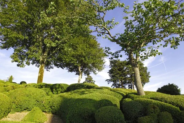 Marqueyssac — Stockfoto