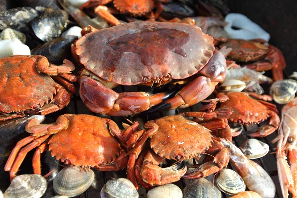 Crevettes crabes sur le gril de charbon de bois — Photo