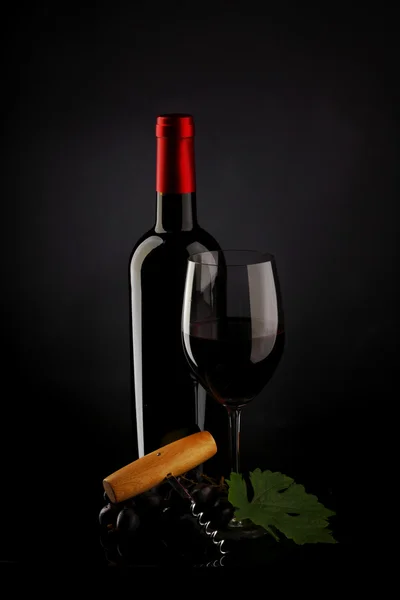 Flaske med rødvin og glas og druer - Stock-foto