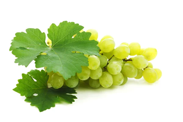 Grapes branch with leaves isolated on white background — Stock Photo, Image