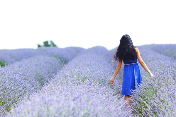 Mulher em pé em um campo de lavanda — Fotografia de Stock