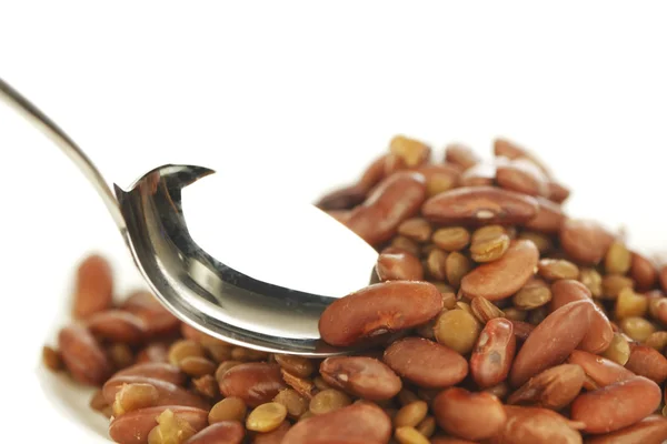 Cooked red beans and lentils — Stock Photo, Image