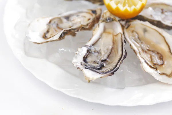 Oysters with lemon — Stock Photo, Image