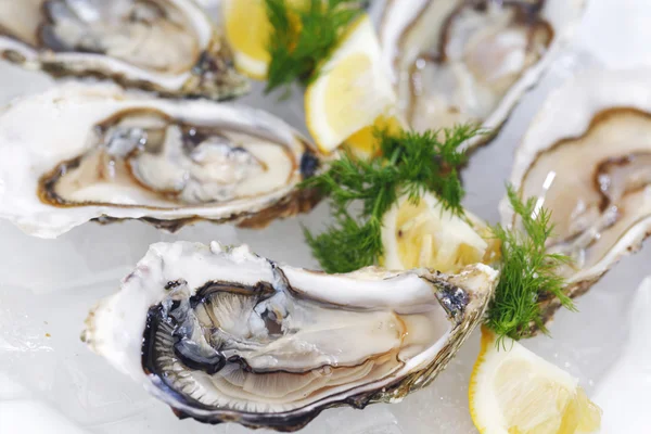 Oysters with lemon and dill — Stock Photo, Image