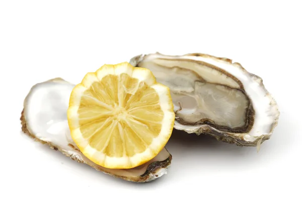 Oyster and lemon on white — Stok fotoğraf