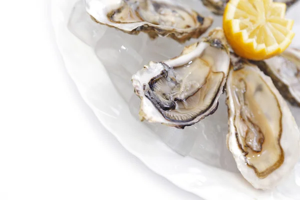 Oysters with lemon — Stock Photo, Image