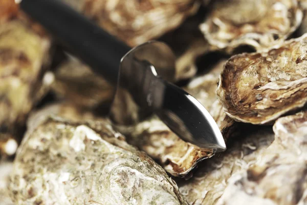 Oysters and knife — Stock Photo, Image