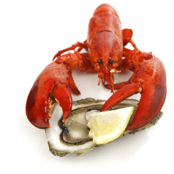 Lobster and oyster — Stock Photo, Image