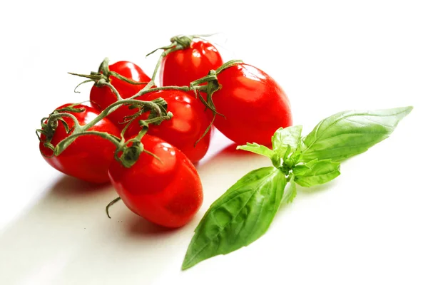 Basil leaves and tomatoes Stock Image