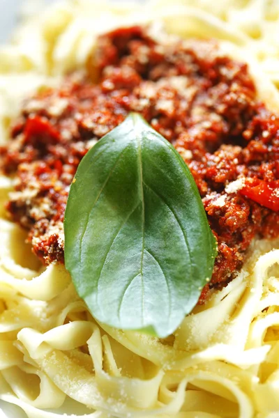 Spaghetti bolognese met basilicum — Stockfoto