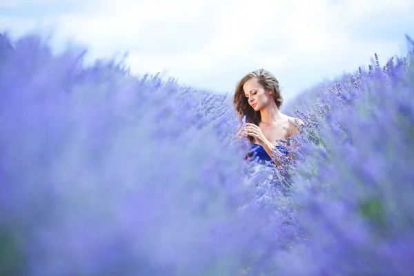 Mujer de pie en un campo de lavanda —  Fotos de Stock