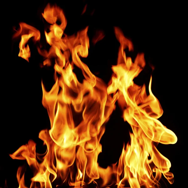 Fire flame close up — Stock Photo, Image