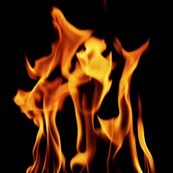 Feuer — Stockfoto