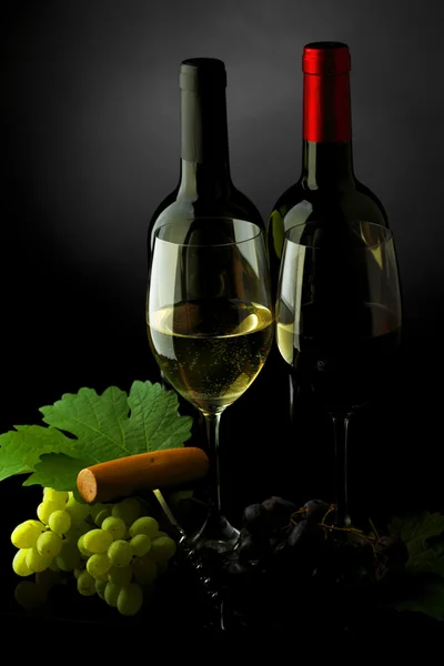 Duas garrafas de vinho tinto e branco — Fotografia de Stock
