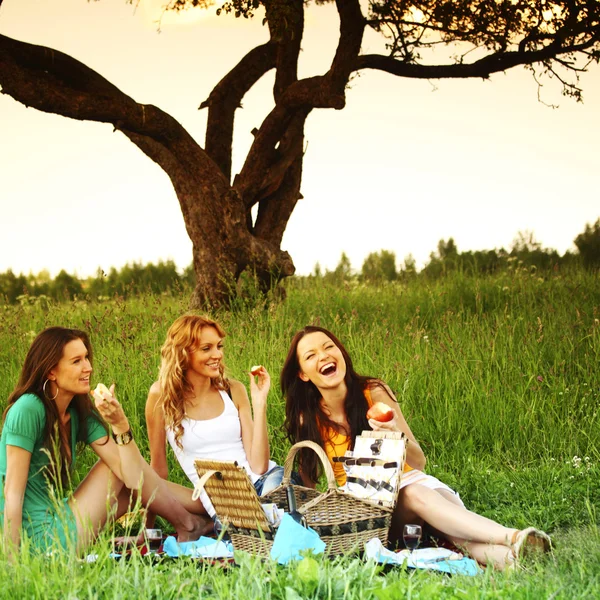 Vriendinnen op picknick — Stockfoto