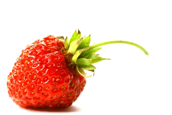 딸기를 분리하다 — 스톡 사진
