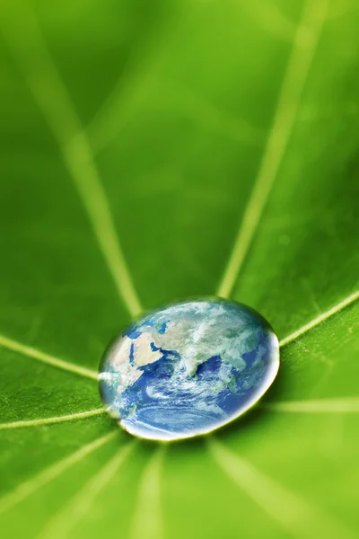 The world in a drop of water — Stock Photo, Image