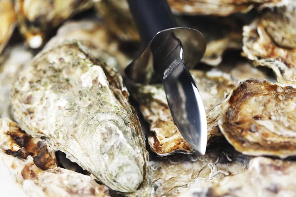 Oysters and knife — Stock Photo, Image