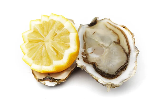 Oyster and lemon on white — Stok fotoğraf