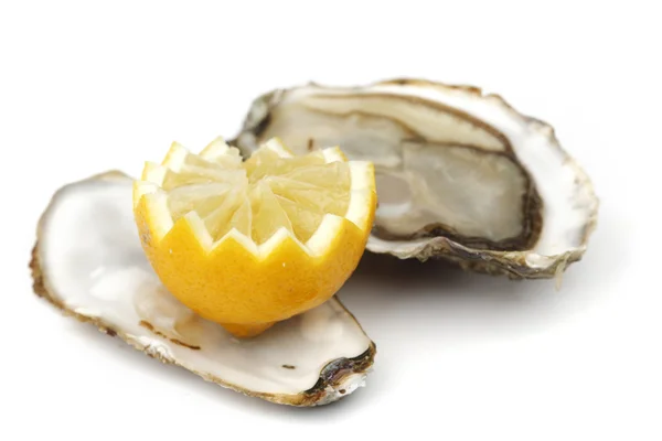 Oyster and lemon on white — Stok fotoğraf