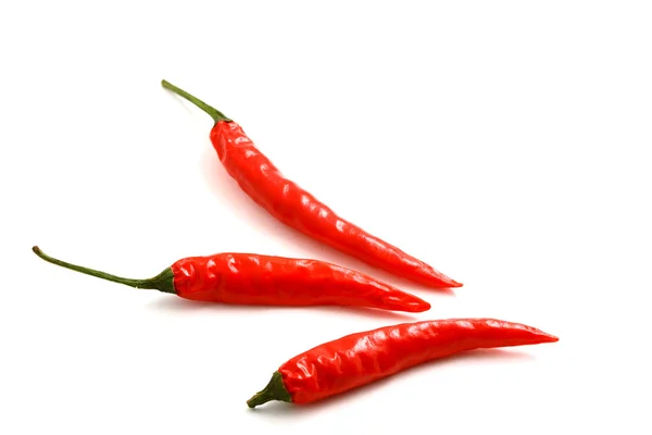 Červená horká chilli paprika — Stock fotografie