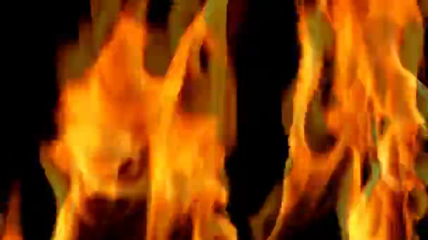 Hintergrund des Feuers — Stockvideo