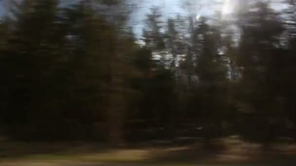 Vista sobre el bosque desde el coche en movimiento — Vídeo de stock