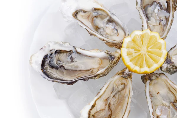 Oysters with lemon — Stock Photo, Image