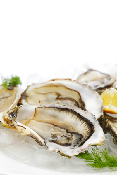 Oysters with lemon and dill — Stock Photo, Image