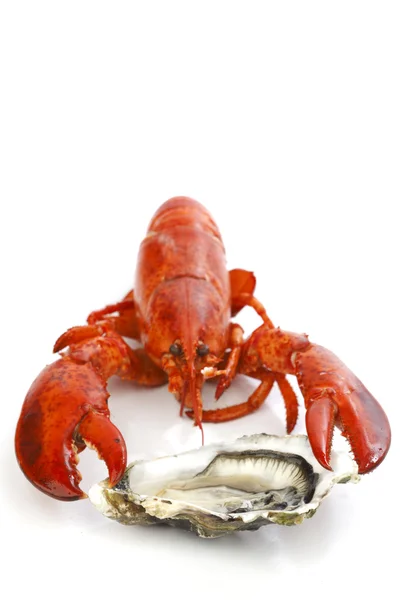 Lobster and oyster — Stock Photo, Image