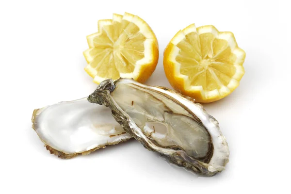 Устрица и лимон на белом — стоковое фото