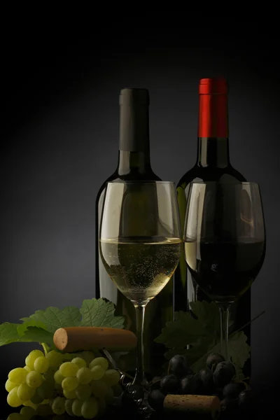 Dva láhev červené a bílé víno — Stock fotografie