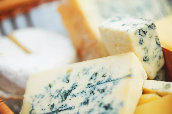 Різні типи складу сиру — стокове фото