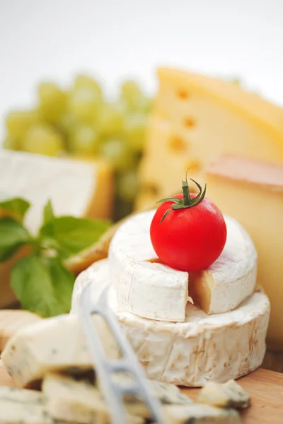 Queijo com uma faca de queijo — Fotografia de Stock