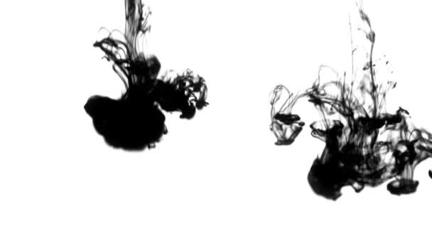 Abstract black ink in water isolated — Stock Video