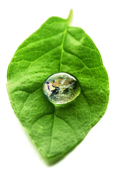 Världen i en droppe vatten — Stockfoto