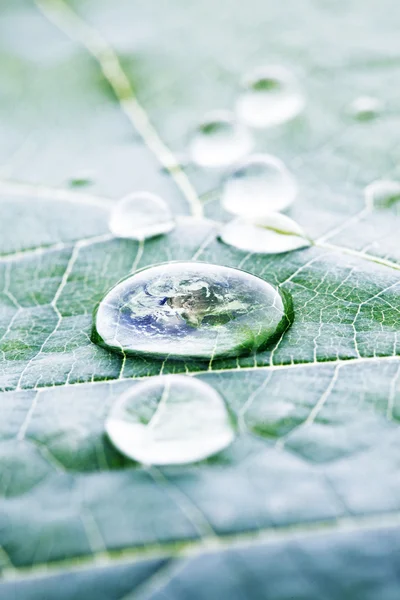 Die Welt in einem Tropfen Wasser — Stockfoto