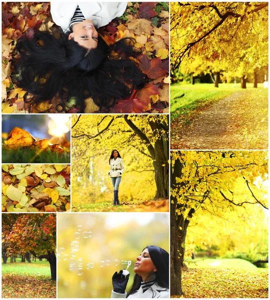 Collage de otoño —  Fotos de Stock