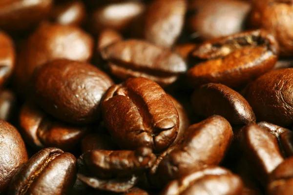 Coffee beans — Stock Photo, Image