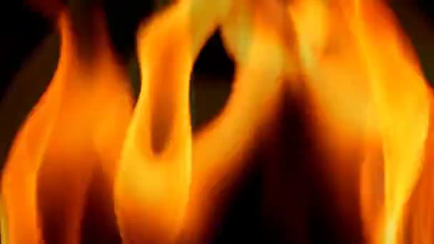 Oheň pozadí — Stock video